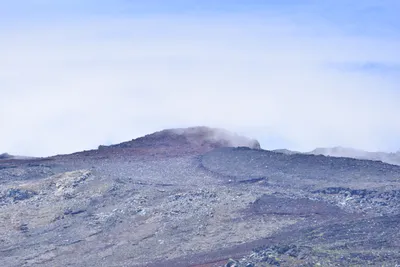 DSC_3649 (Large).JPG